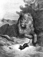 Le lion et le rat.htm
