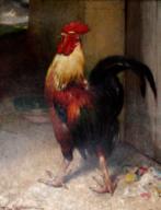 le-coq-et-la-perle.htm